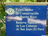 Reserva Natural las Cabezas de San Juan - FAJARDO